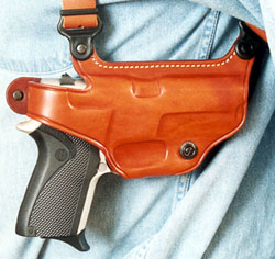 Shoulder Holster