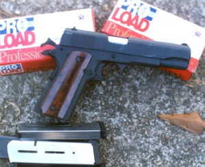 With Pro Load ammunition and Wilson Combat magazines, this one is a good performer