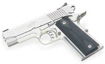 Kimber Stainless