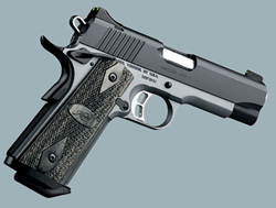 Kimber Pro Carry II