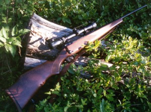 Savage Model 110 in .243 Winchester